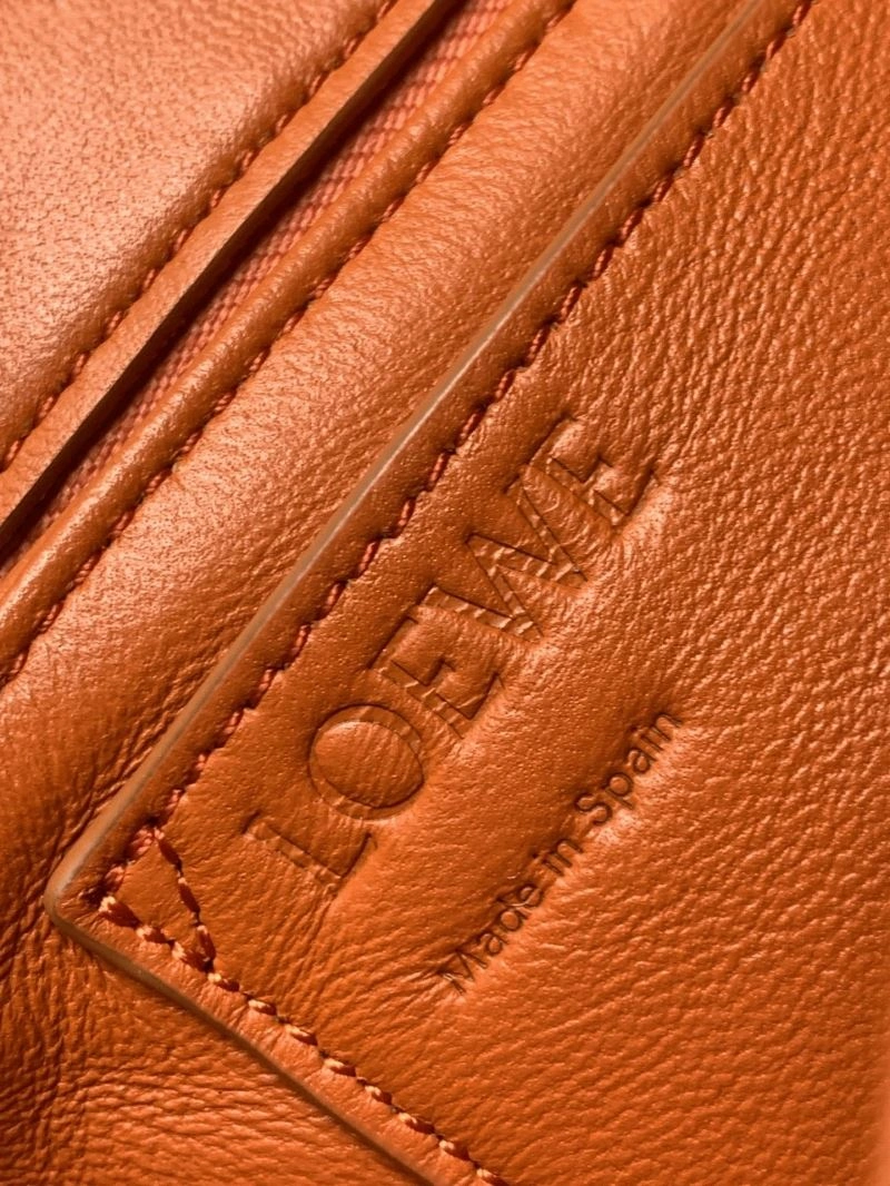 Loewe Satchel Bags Bright 73062