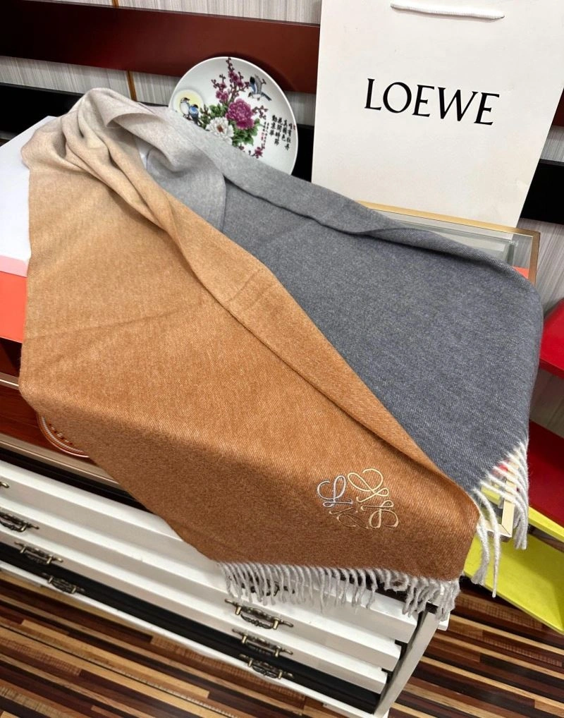 Practical Loewe Scarf 270948