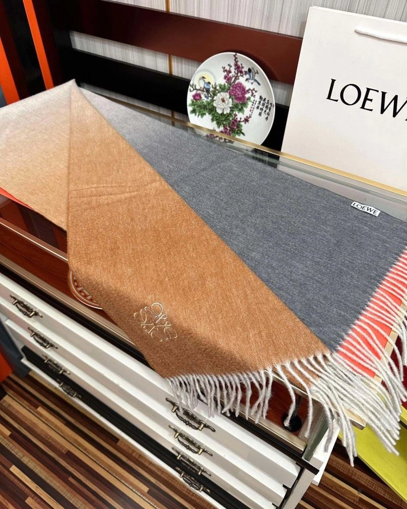 Practical Loewe Scarf 270948