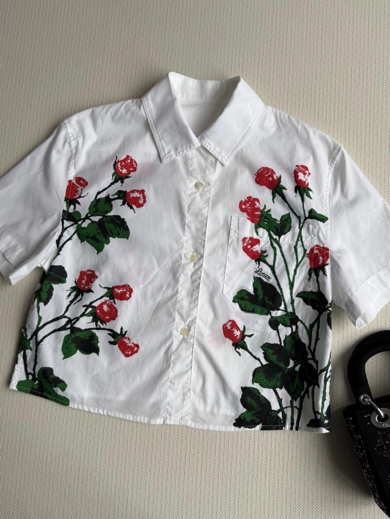 GoAnywhere Loewe Shirts 156817