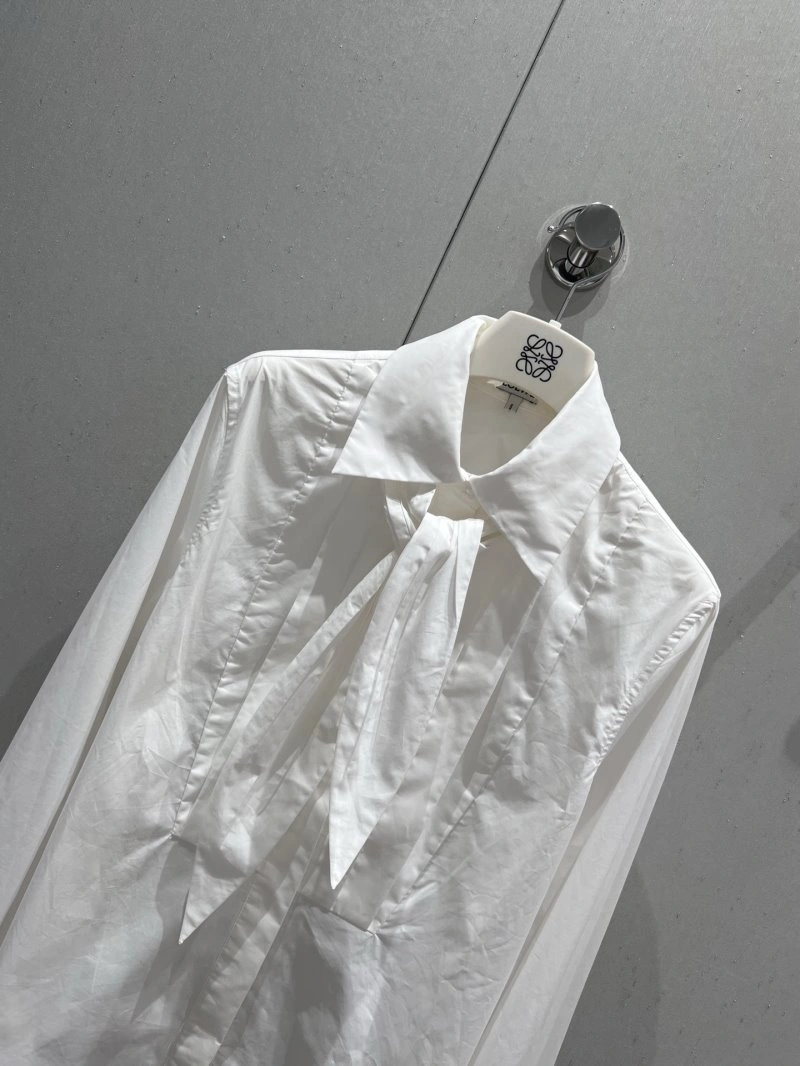 Colorful Loewe Shirts 149742