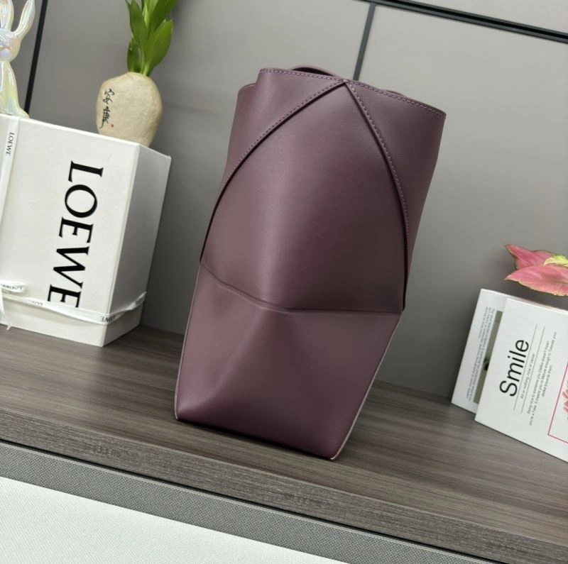 Snug Loewe Shopping Bags 61387
