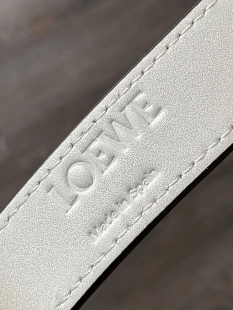 Reliable Loewe Shopping Bags 73041