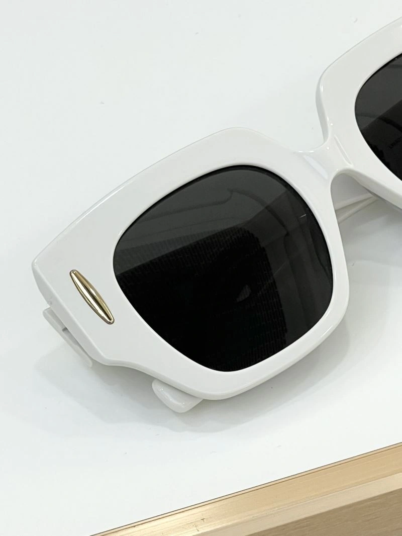 Loewe Sunglasses EasyCare 280383
