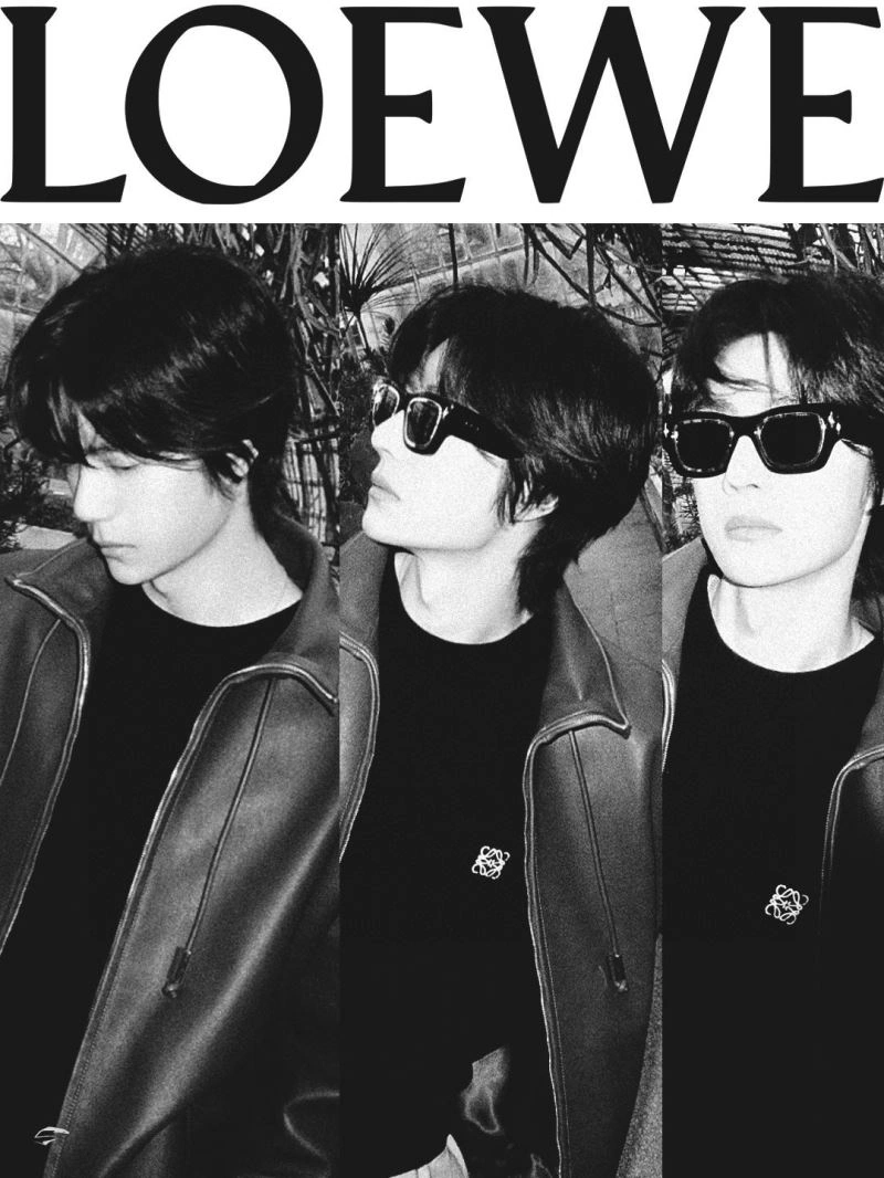 NewStyle Loewe Sunglasses 280374