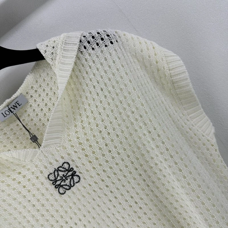 Cozy Loewe Sweaters 149679
