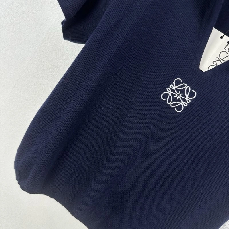 Vibrant Loewe Sweaters 149662