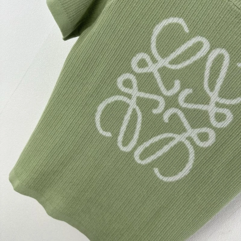 WrinkleFree Loewe Sweaters 149663