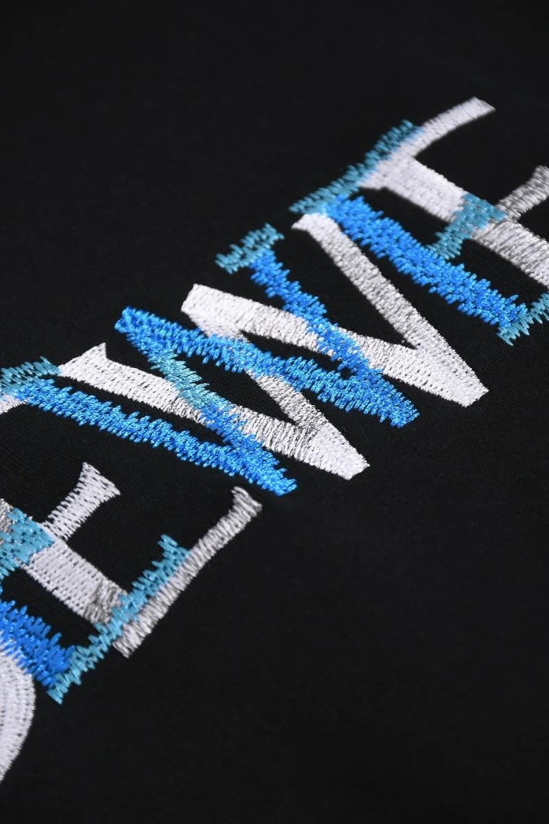 Versatile Loewe T-Shirts 163960