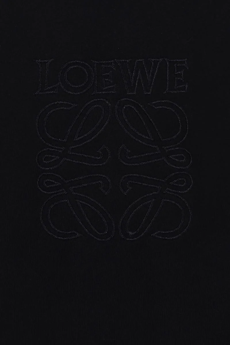 Cozy Loewe T-Shirts 163805