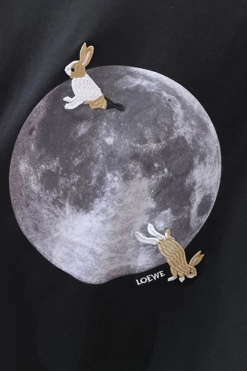 GoAnywhere Loewe T-Shirts 164144