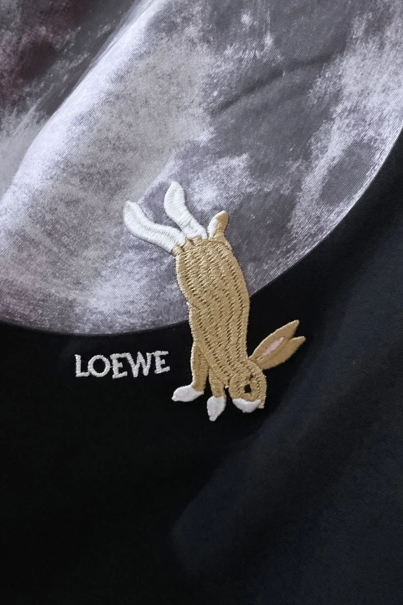 GoAnywhere Loewe T-Shirts 164144