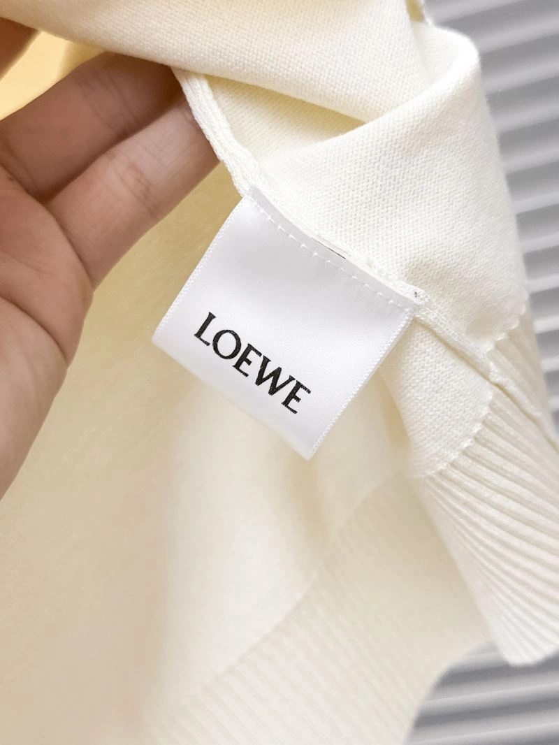 GoAnywhere Loewe T-Shirts 161579