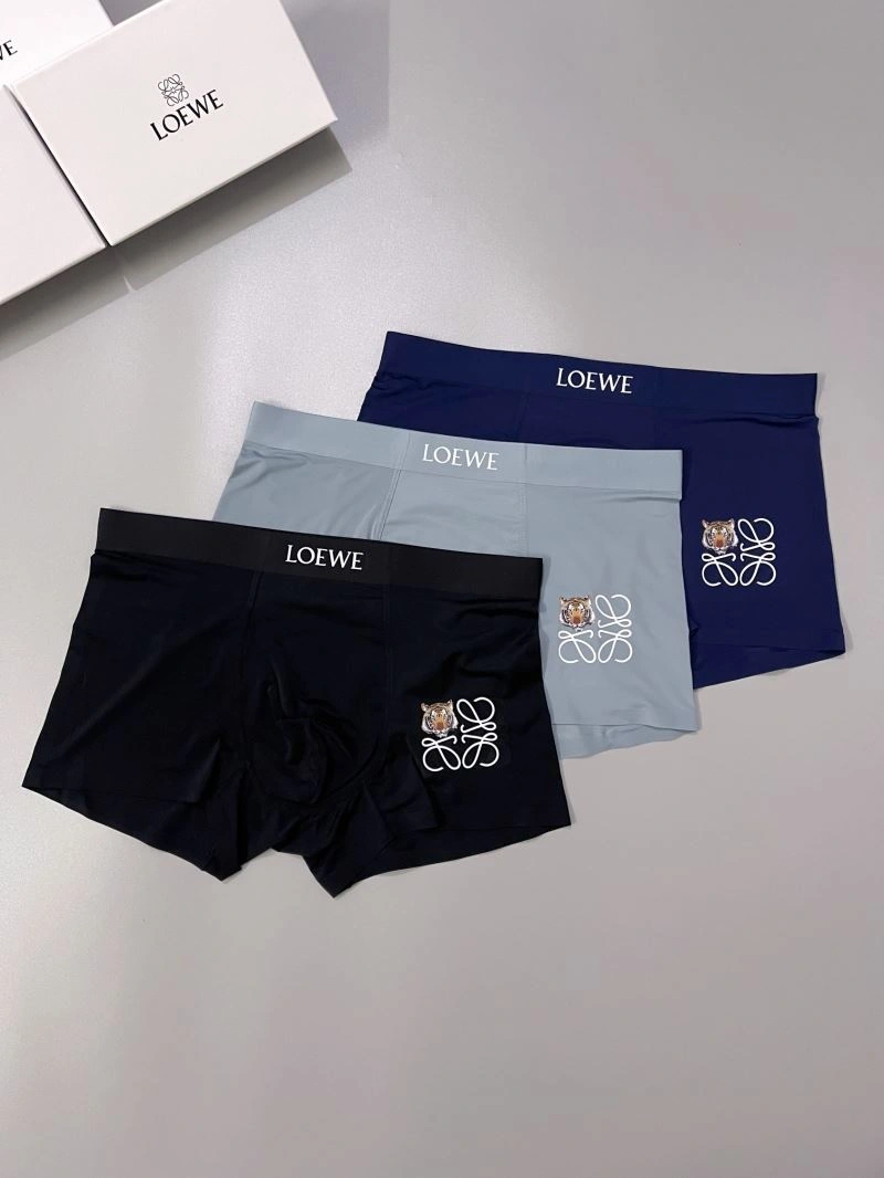FlexibleFit Loewe Underwear 276780