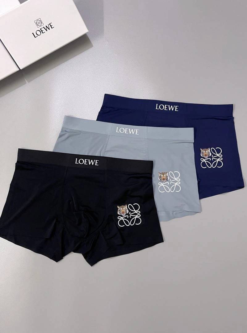 FlexibleFit Loewe Underwear 276780