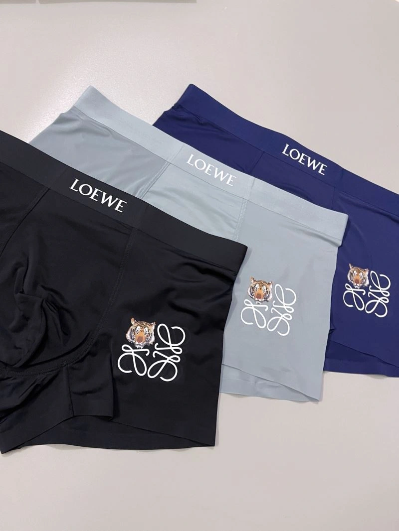 FlexibleFit Loewe Underwear 276780