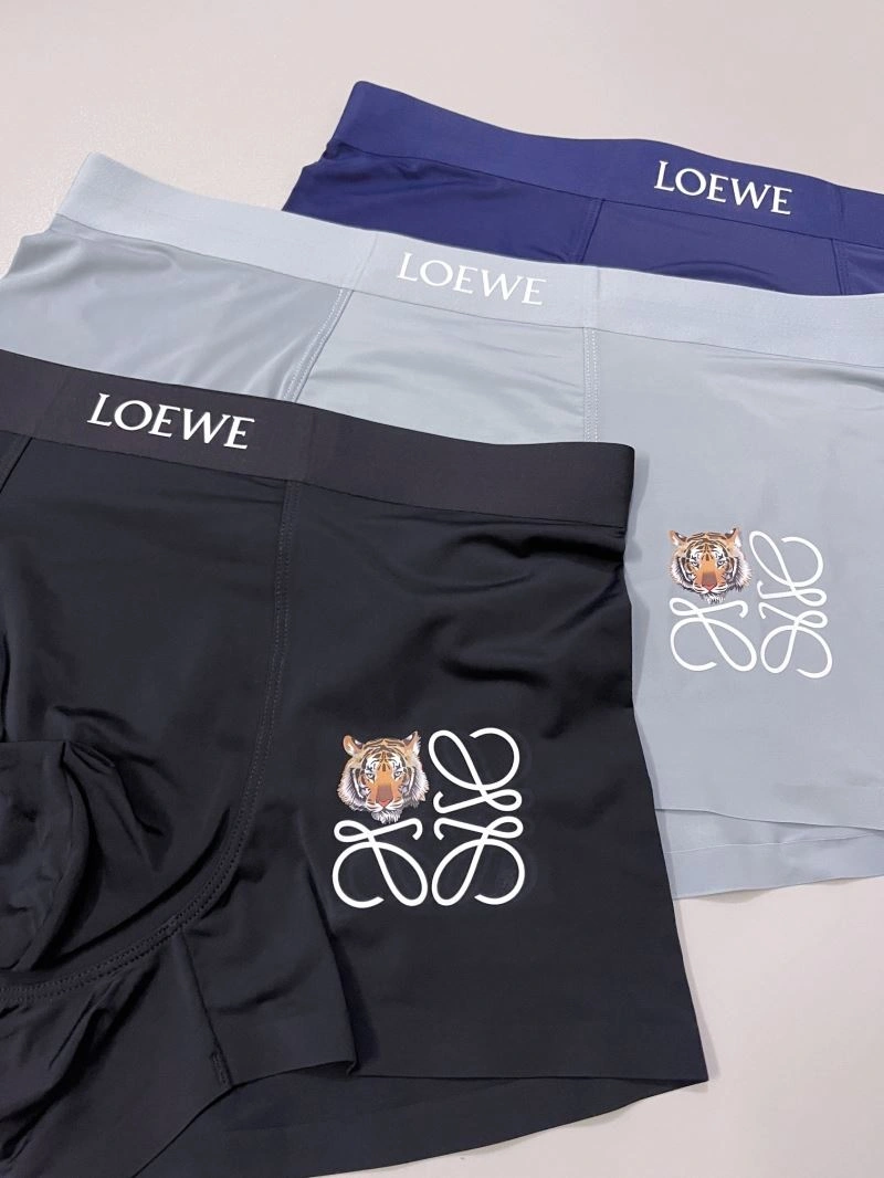 FlexibleFit Loewe Underwear 276780