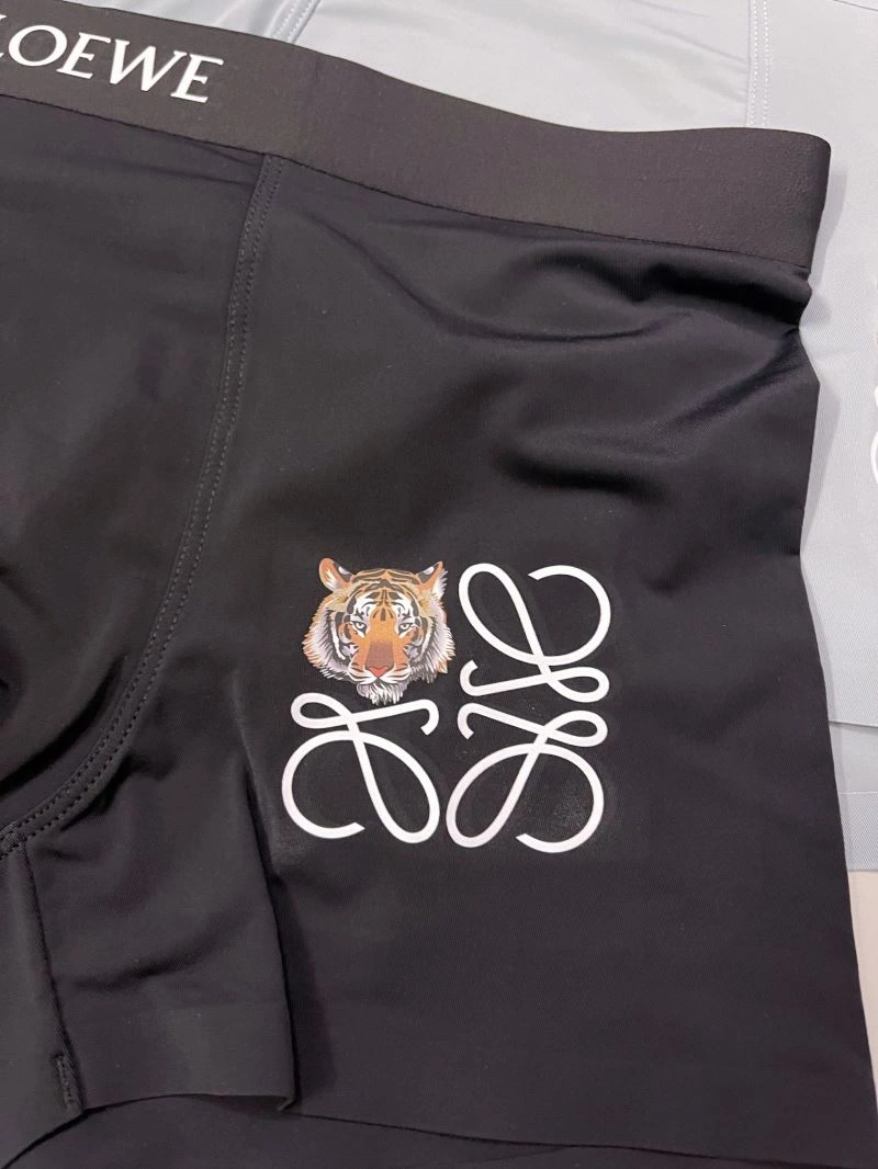 FlexibleFit Loewe Underwear 276780