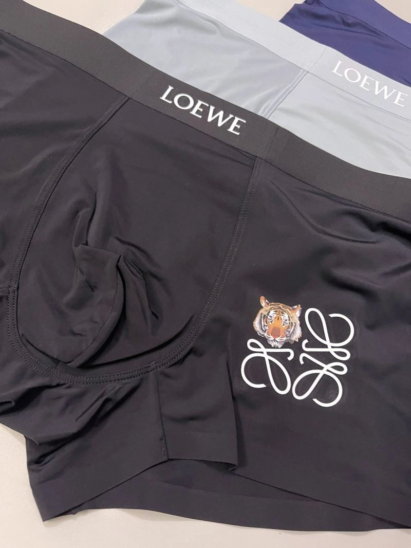 FlexibleFit Loewe Underwear 276780