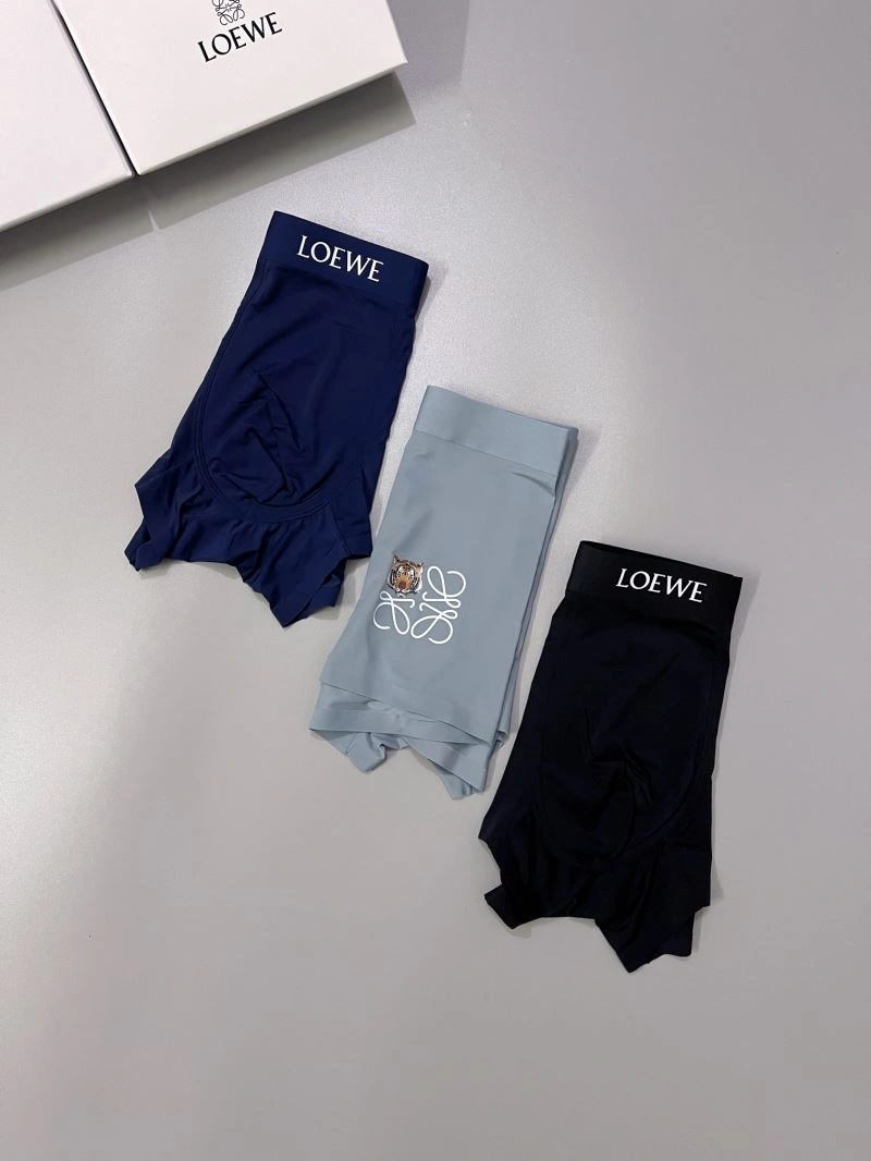 FlexibleFit Loewe Underwear 276780