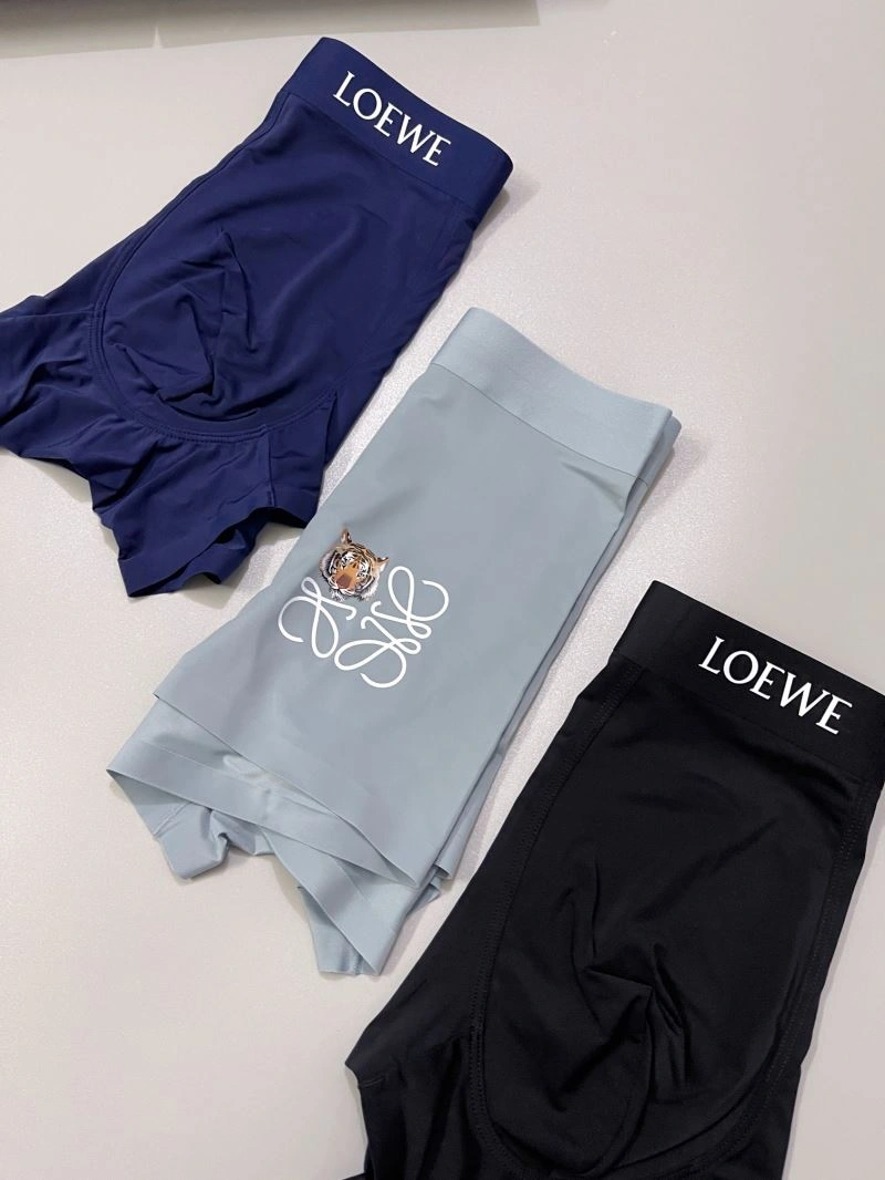 FlexibleFit Loewe Underwear 276780