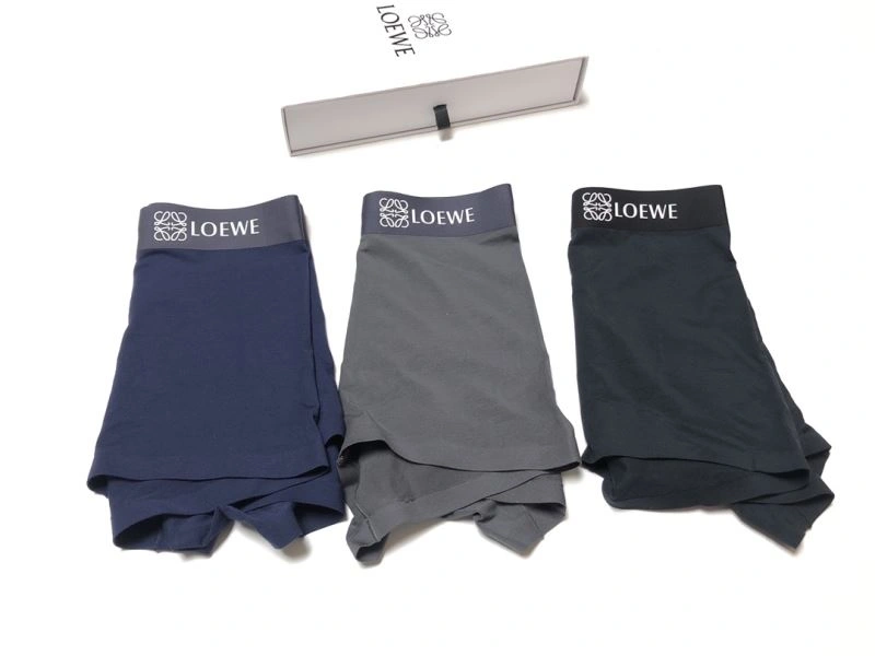 SmartChoice Loewe Underwear 276761