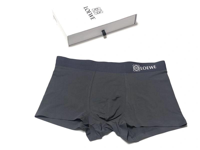 SmartChoice Loewe Underwear 276761