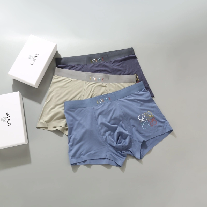 Loewe Underwear Cozy 276649