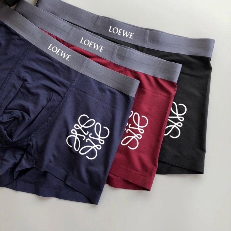 Loewe Underwear EasyCare 276319