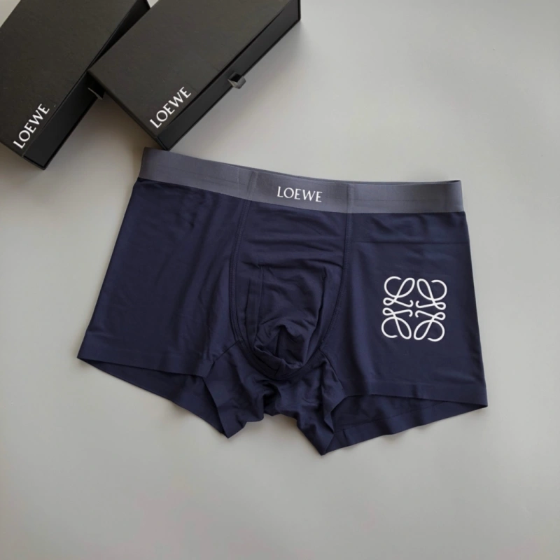Loewe Underwear EasyCare 276319