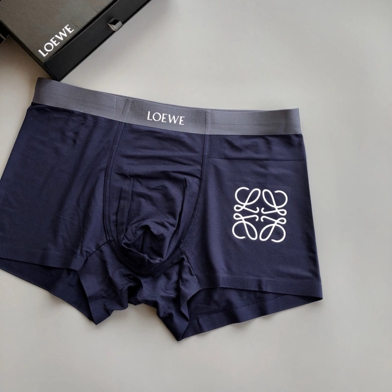 Loewe Underwear EasyCare 276319