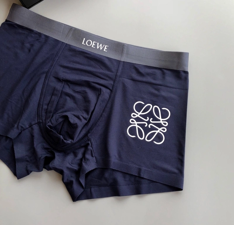 Loewe Underwear EasyCare 276319