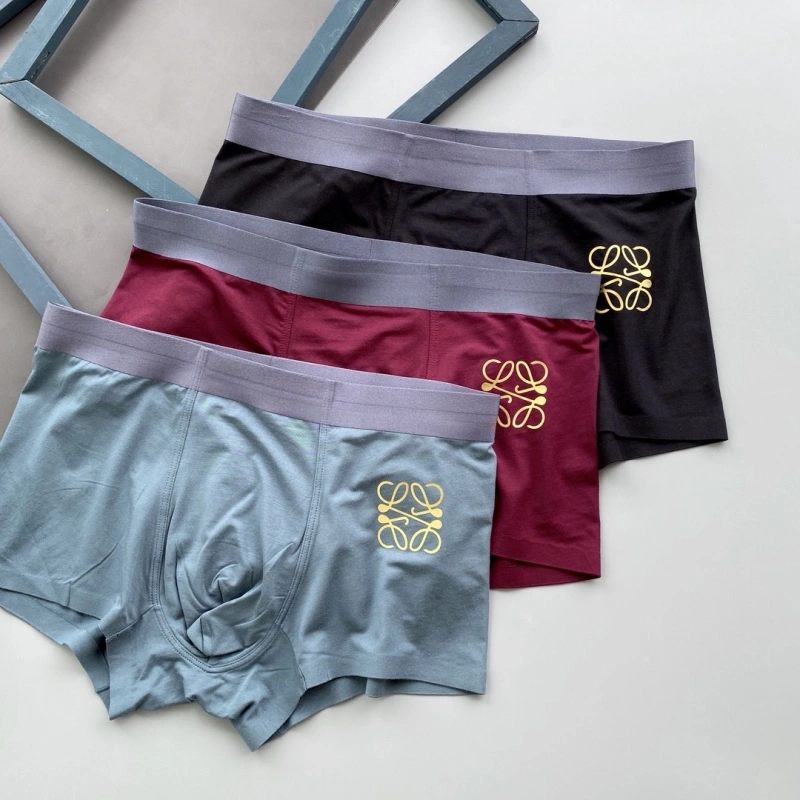 Loewe Underwear OdorResistant 276320