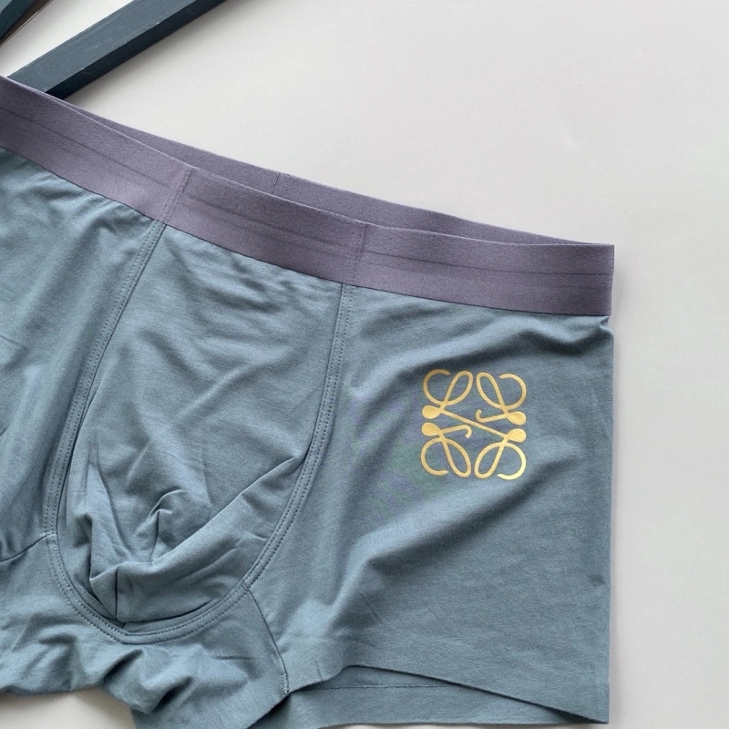 Loewe Underwear OdorResistant 276320