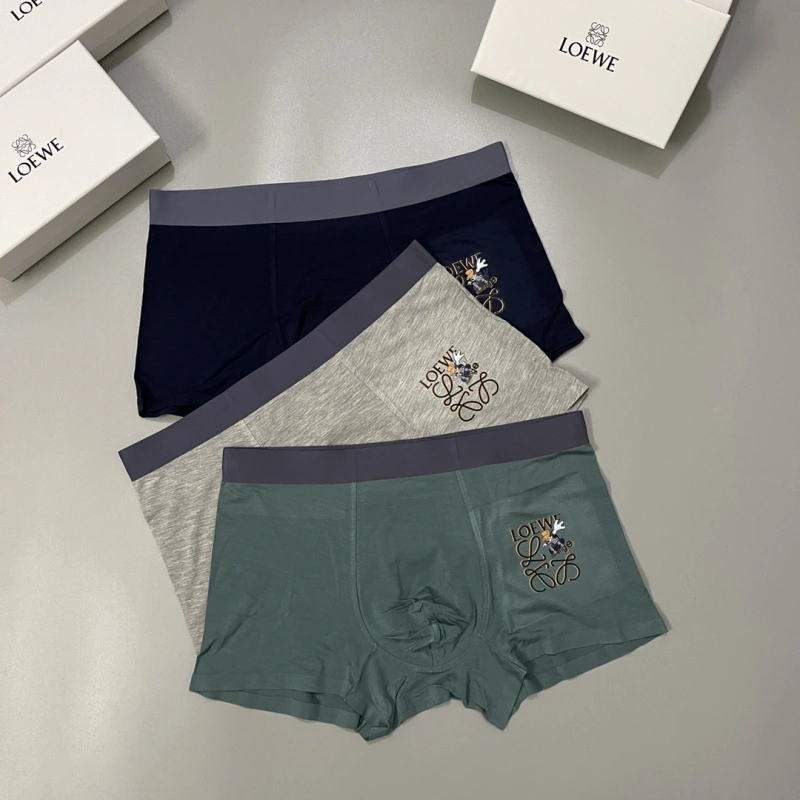 Loewe Underwear Upgraded 276308