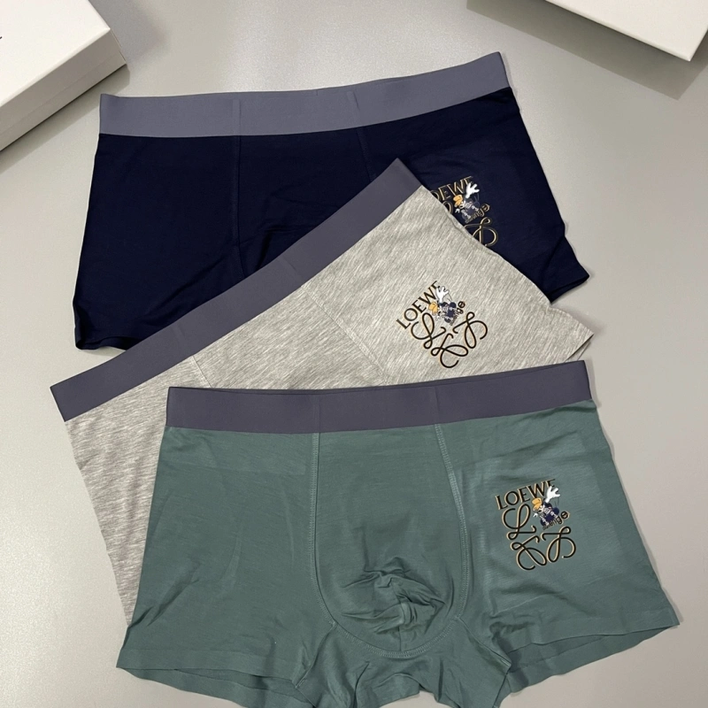 Loewe Underwear Upgraded 276308