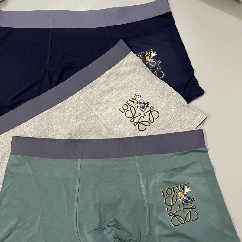 Loewe Underwear Upgraded 276308