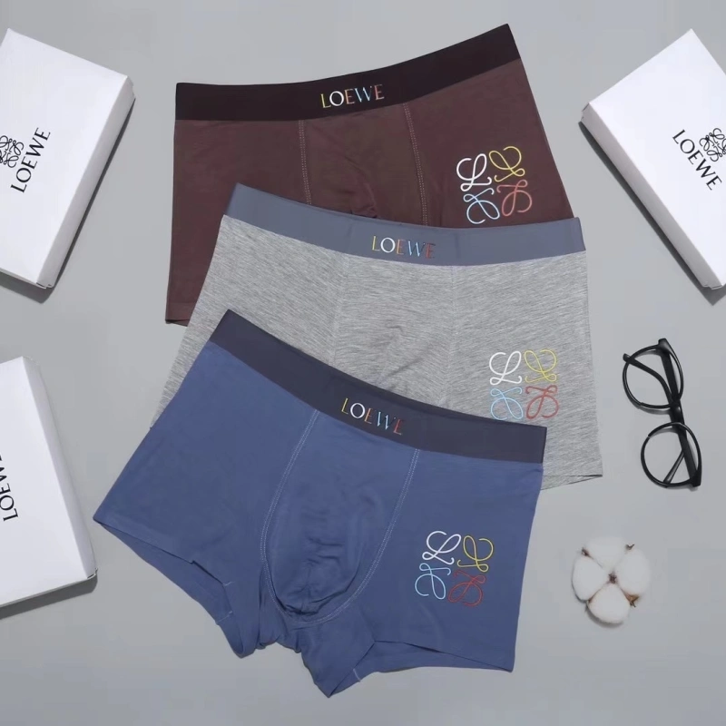 Contemporary Loewe Underwear 276302