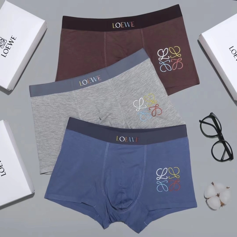 Contemporary Loewe Underwear 276302