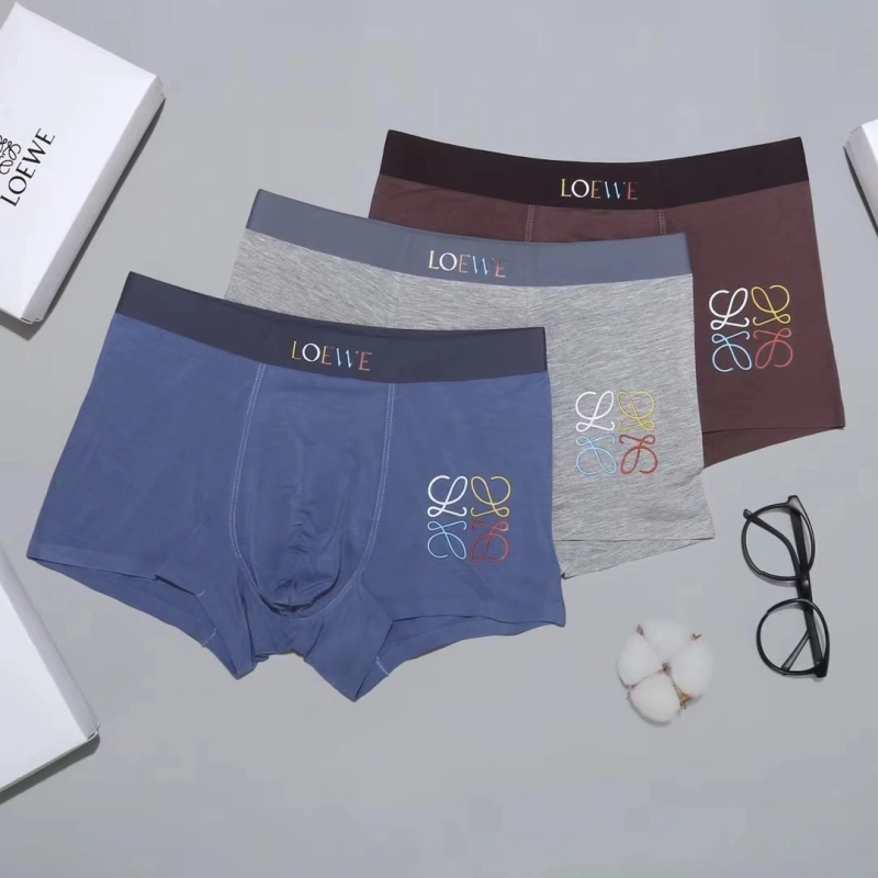 Contemporary Loewe Underwear 276302
