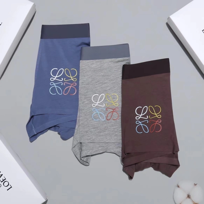 Contemporary Loewe Underwear 276302