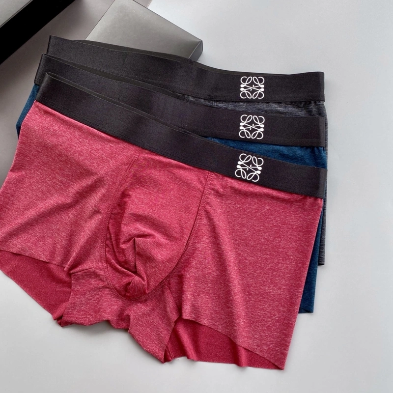 Vibrant Loewe Underwear 276310