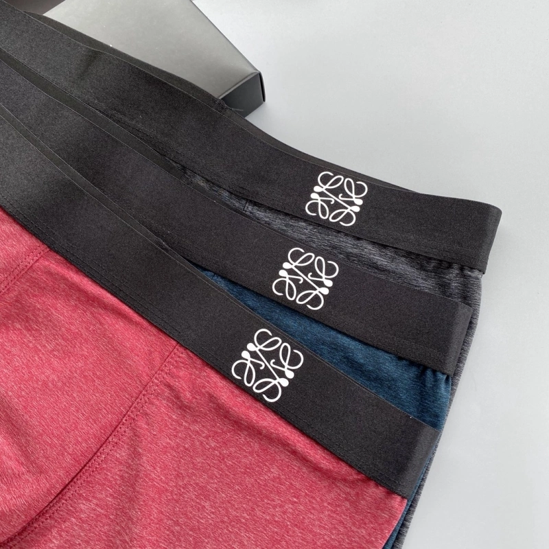 Vibrant Loewe Underwear 276310