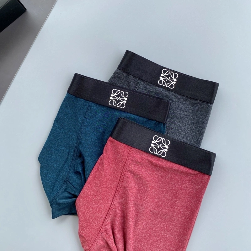 Vibrant Loewe Underwear 276310