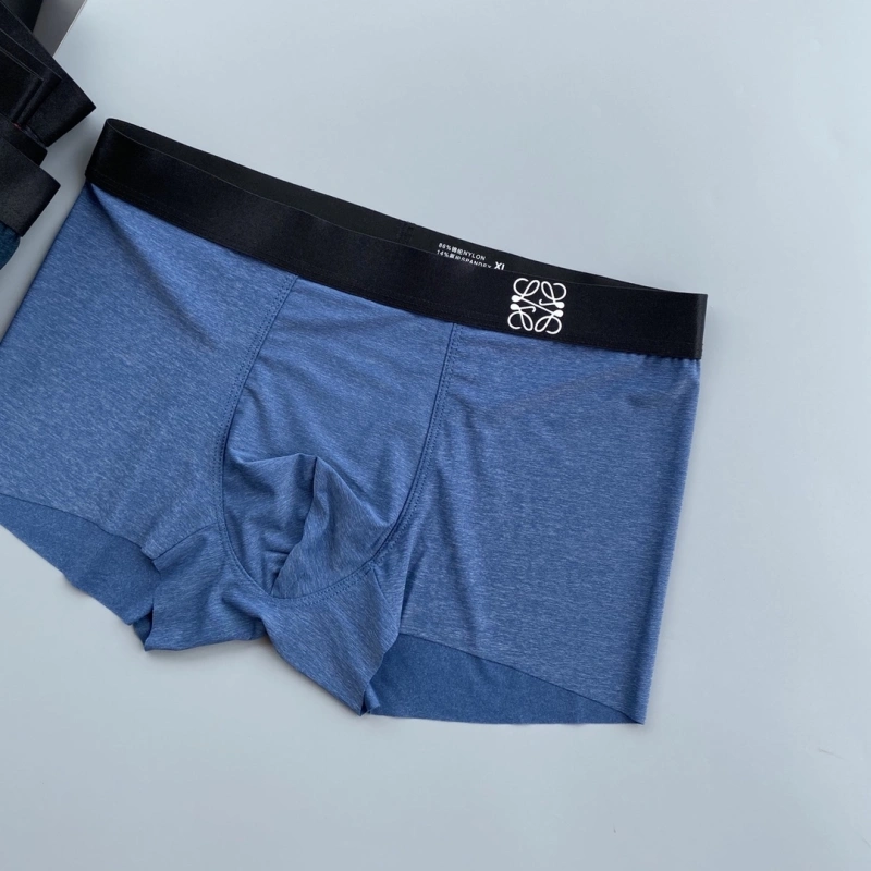 Vibrant Loewe Underwear 276310