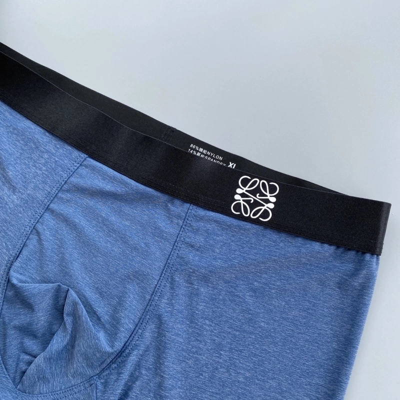 Vibrant Loewe Underwear 276310