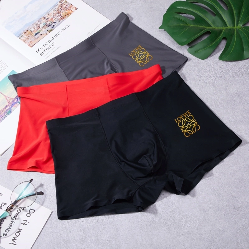 Unique Loewe Underwear 276297
