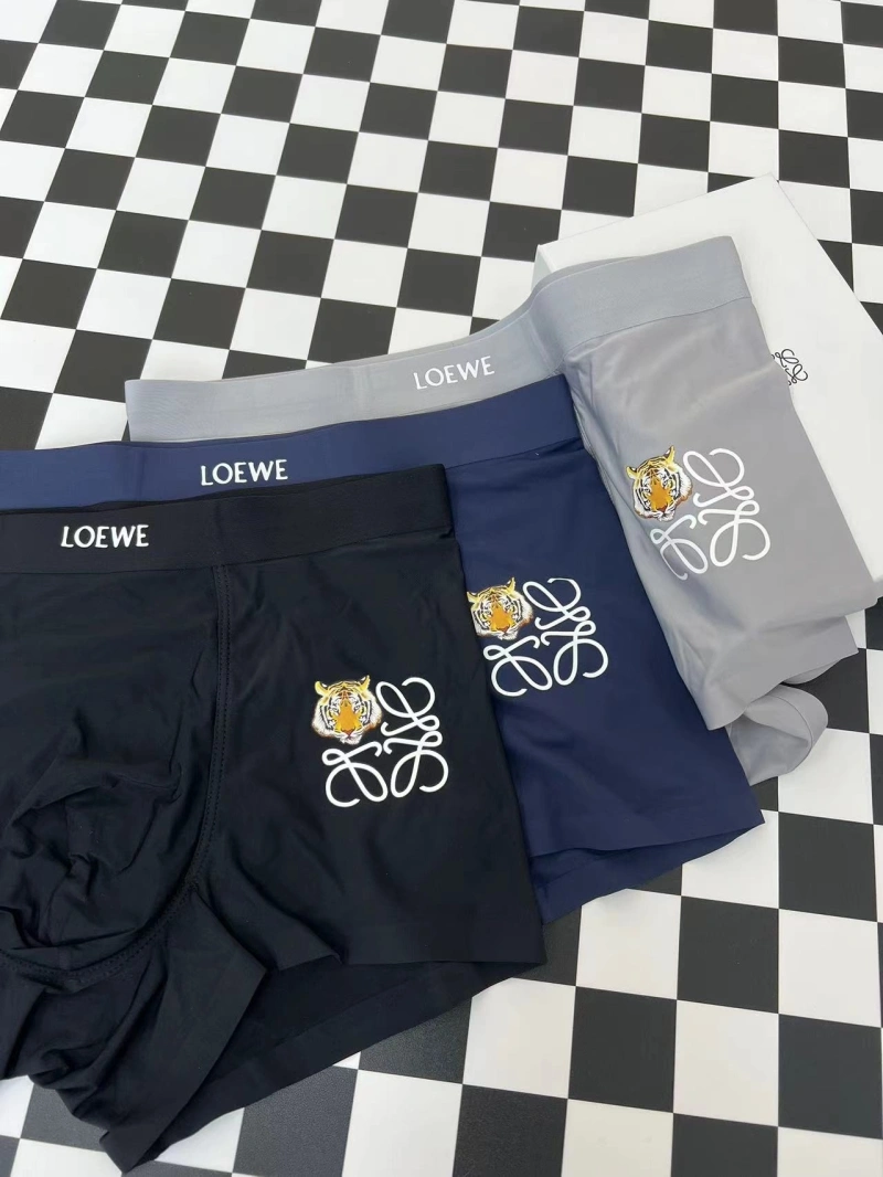 HighPerformance Loewe Underwear 276296