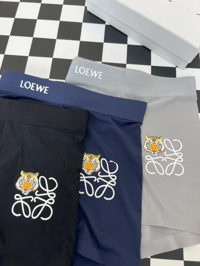 HighPerformance Loewe Underwear 276296
