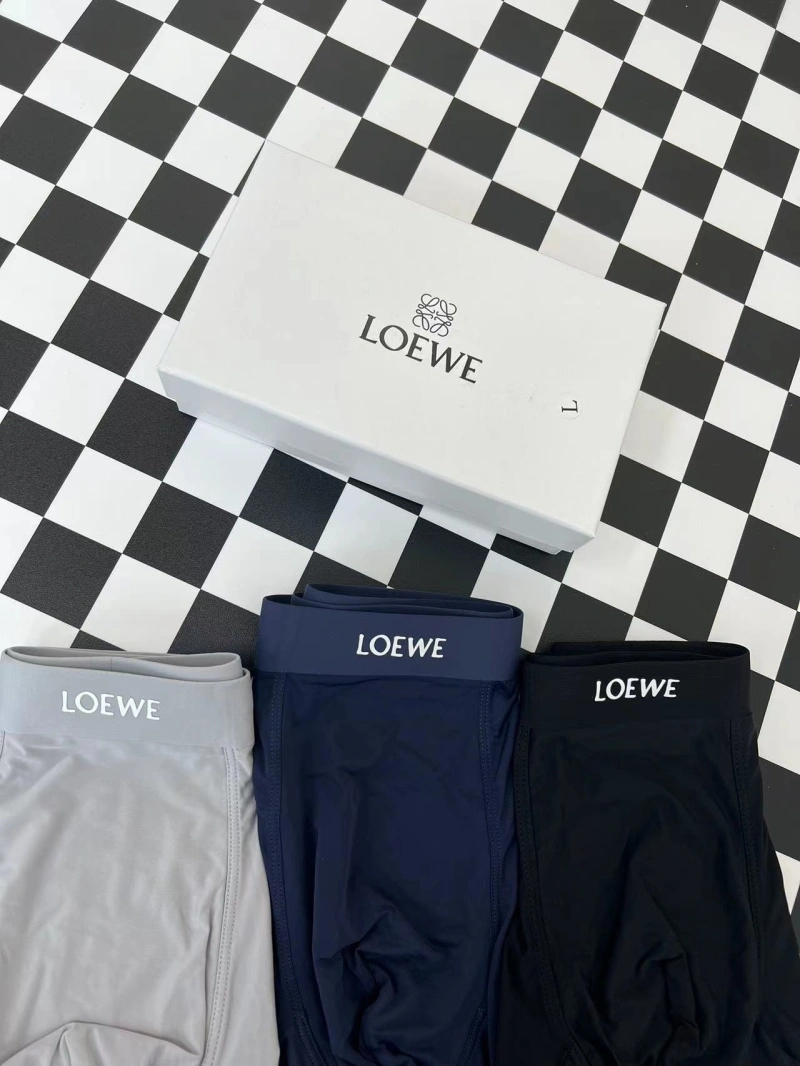 HighPerformance Loewe Underwear 276296